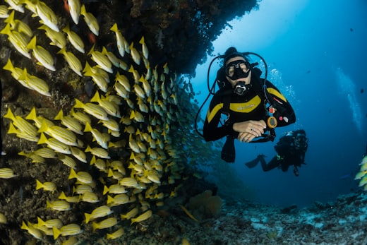 Scuba diver swimming beside a shoal of fish